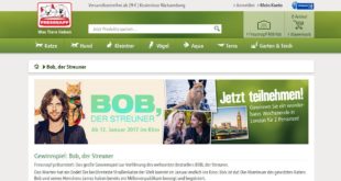 bob der streuner gewinnspiel