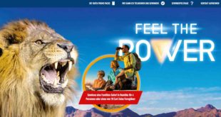 familien safari gewinnen