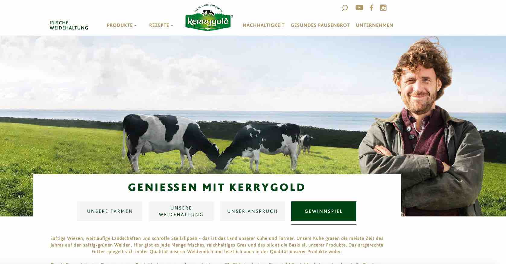 kerrygold kitchenaid gewinnspiel